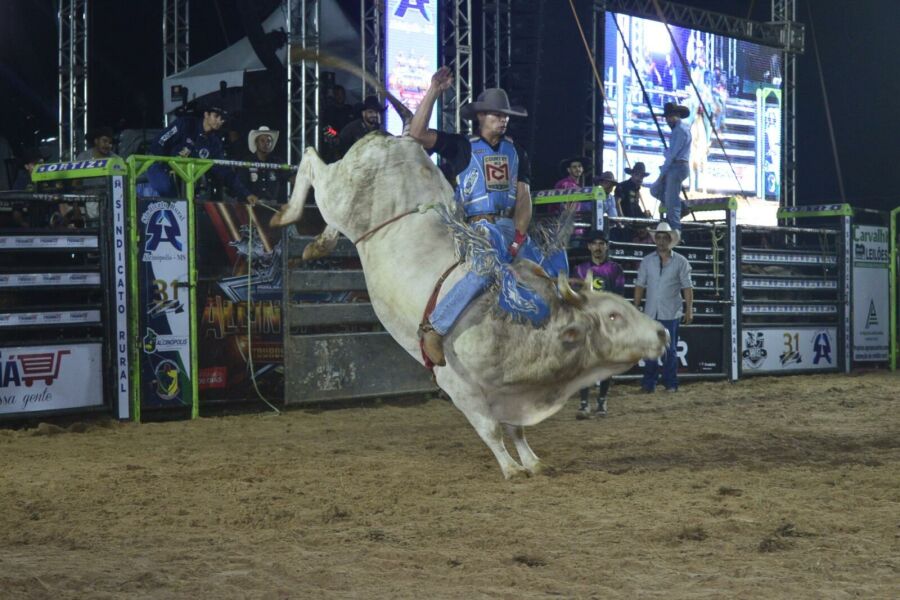 Imagem RODEIO TOURO